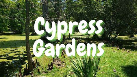 Seniors Trip to Cypress Gardens in Moncks Corner, SC